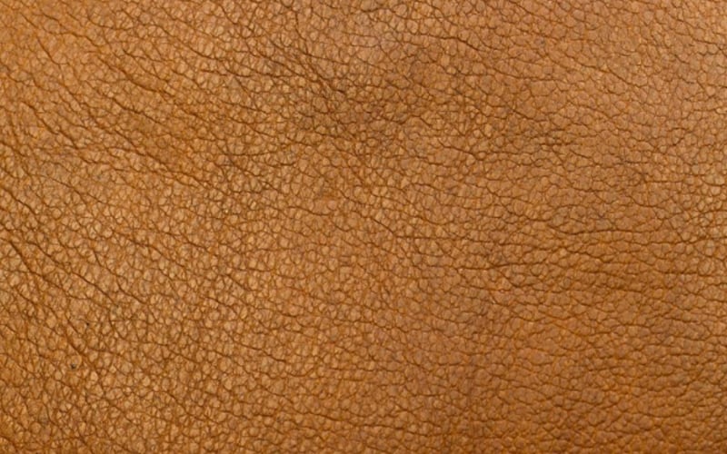 Full Grain Leather