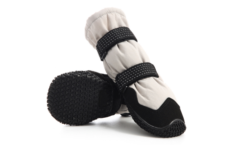 Toy Poodle with Boots