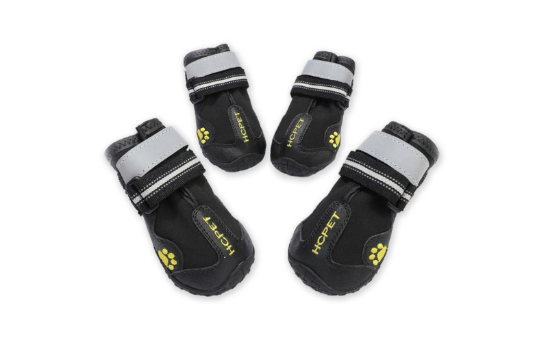 Dog Boots of Various Kinds of Sizes